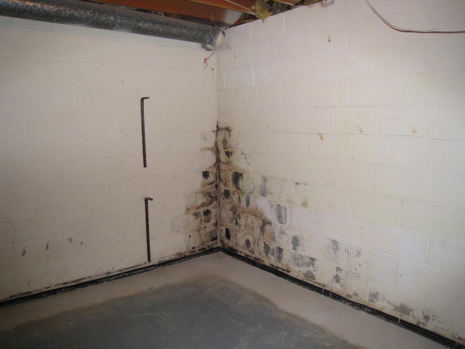 Simple Preventative Tips To Keep Mold And Mildew Out Of Your Basement Waterproof Com - Mold On Walls In Basement