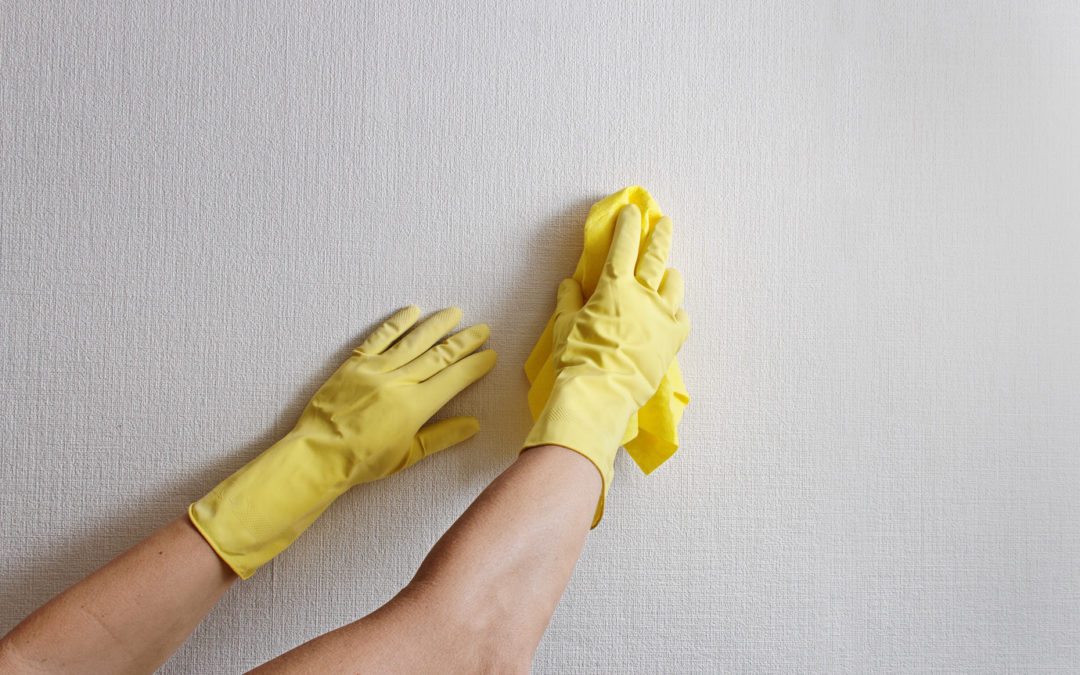 How to Get Rid of that Musty Basement Smell
