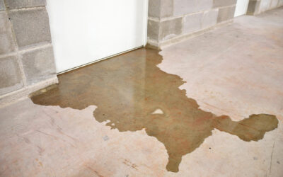 A Professional Guide on How to Prevent Basement Flooding