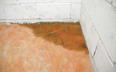 How to Fix Basement Leaks Yourself After Heavy Rain
