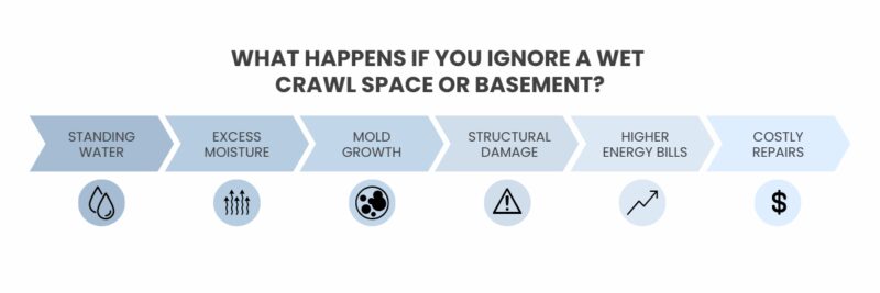 wet crawl space 