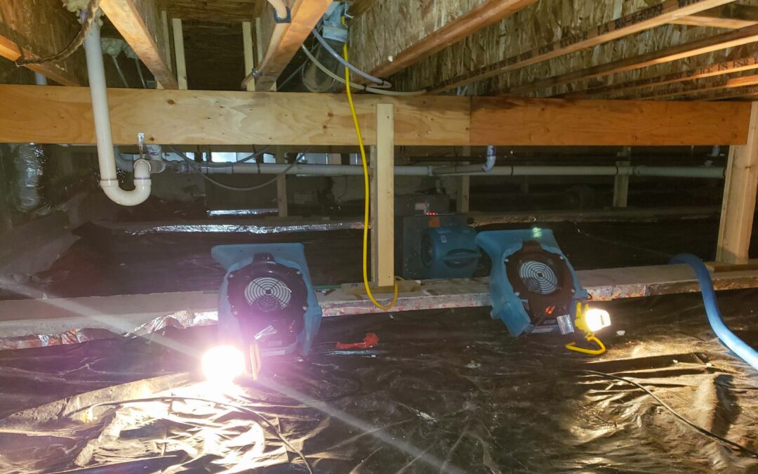Affordable Ways to Get Rid of Water in a Crawl Space or Basement